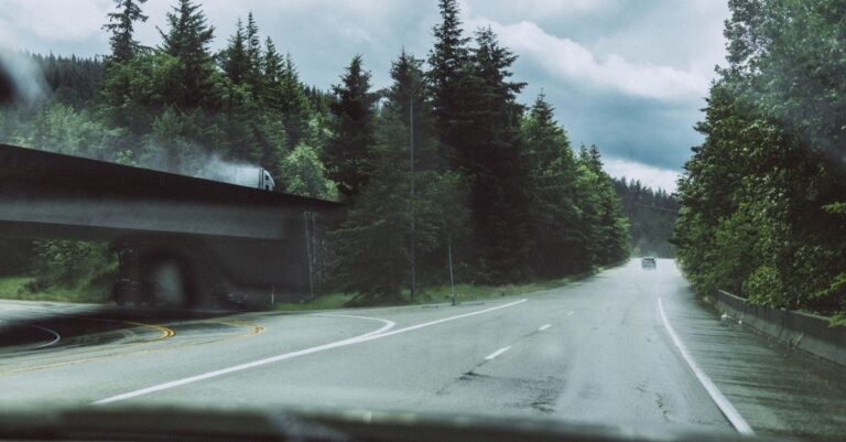 A tranquil highway scene on a rainy day, surrounded by dense green forest and overcast skies.